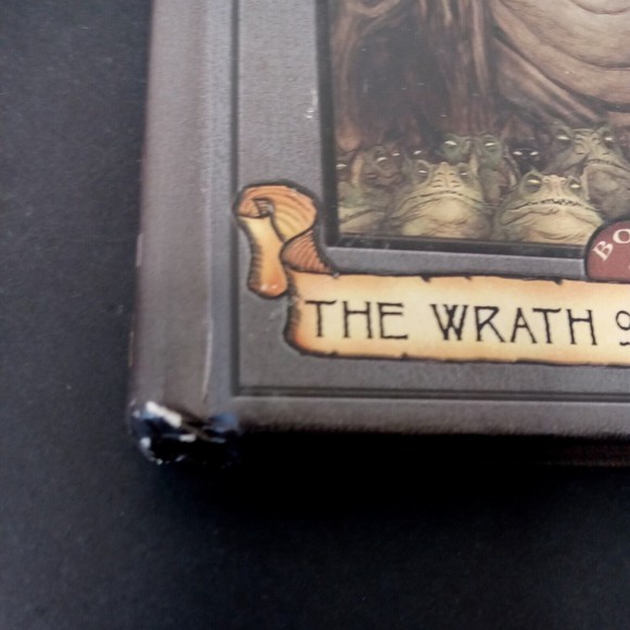 The Spiderwick Chronicles: The Wrath of Mulgarath by Tony DiTerlizzi Book #5 - Picture 5 of 12